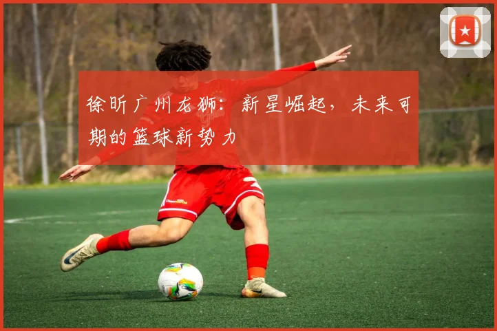 徐昕广州龙狮:新星崛起,未来可期的篮球新势力